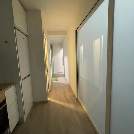 Vintage Apartment Ostrava Centrum - Free Parking *