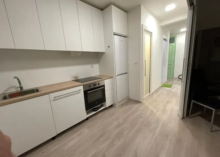 Vintage Apartment Ostrava Centrum - Free Parking *