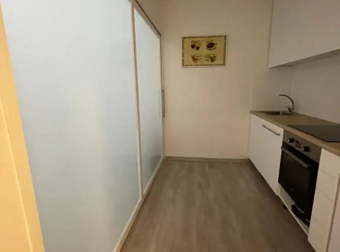 Vintage Apartment Ostrava Centrum - Free Parking *