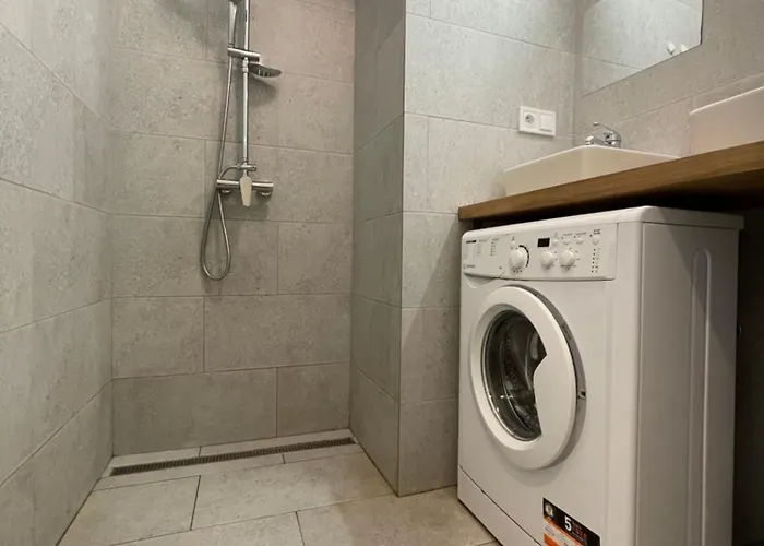 Vintage Apartment Ostrava Centrum - Free Parking אוסטרבה