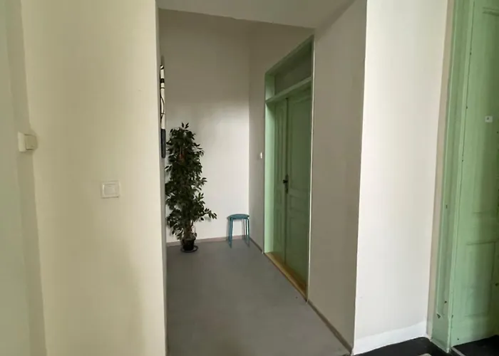 Vintage Apartment Ostrava Centrum - Free Parking דירה אוסטרבה