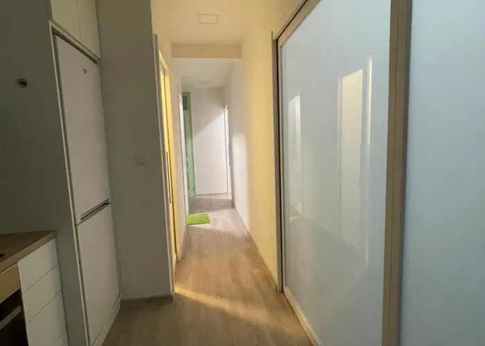 Vintage Apartment Ostrava Centrum - Free Parking *